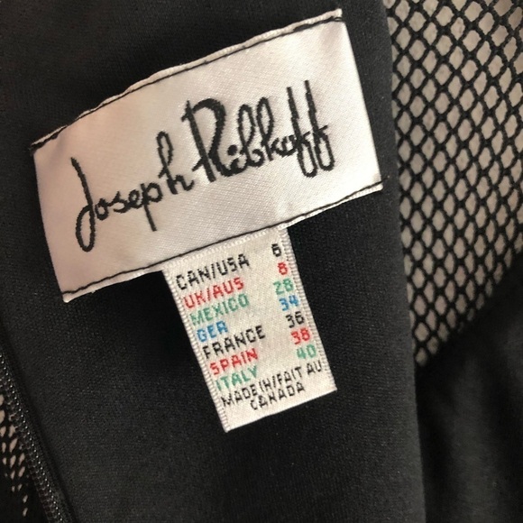 Joseph Ribkoff Body Con Mesh Sleeves Dress 6 - Picture 9 of 11